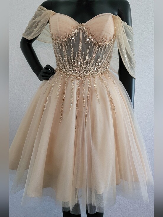 Ladivine By Cinderella Divine Dresses & Skirts - Ladivine By Cinderella Divine Dress
